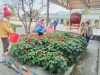 HOẠT ĐỘNG XÂY DỰNG LỚP HỌC, TRƯỜNG HỌC  XANH – SẠCH – ĐẸP – AN TOÀN CỦA  HỌC SINH