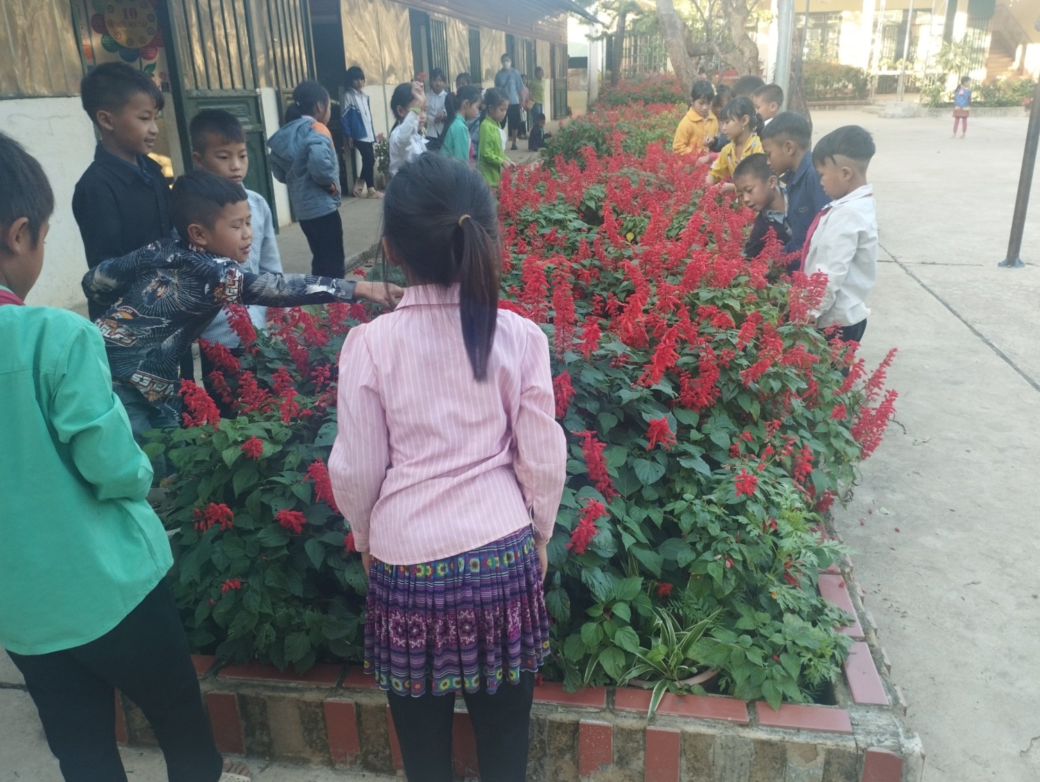 CHĂM SÓC BỒN HOA CÂY CẢNH, TĂNG CƯỜNG GIÁO DỤC KỸ NĂNG SỐNG