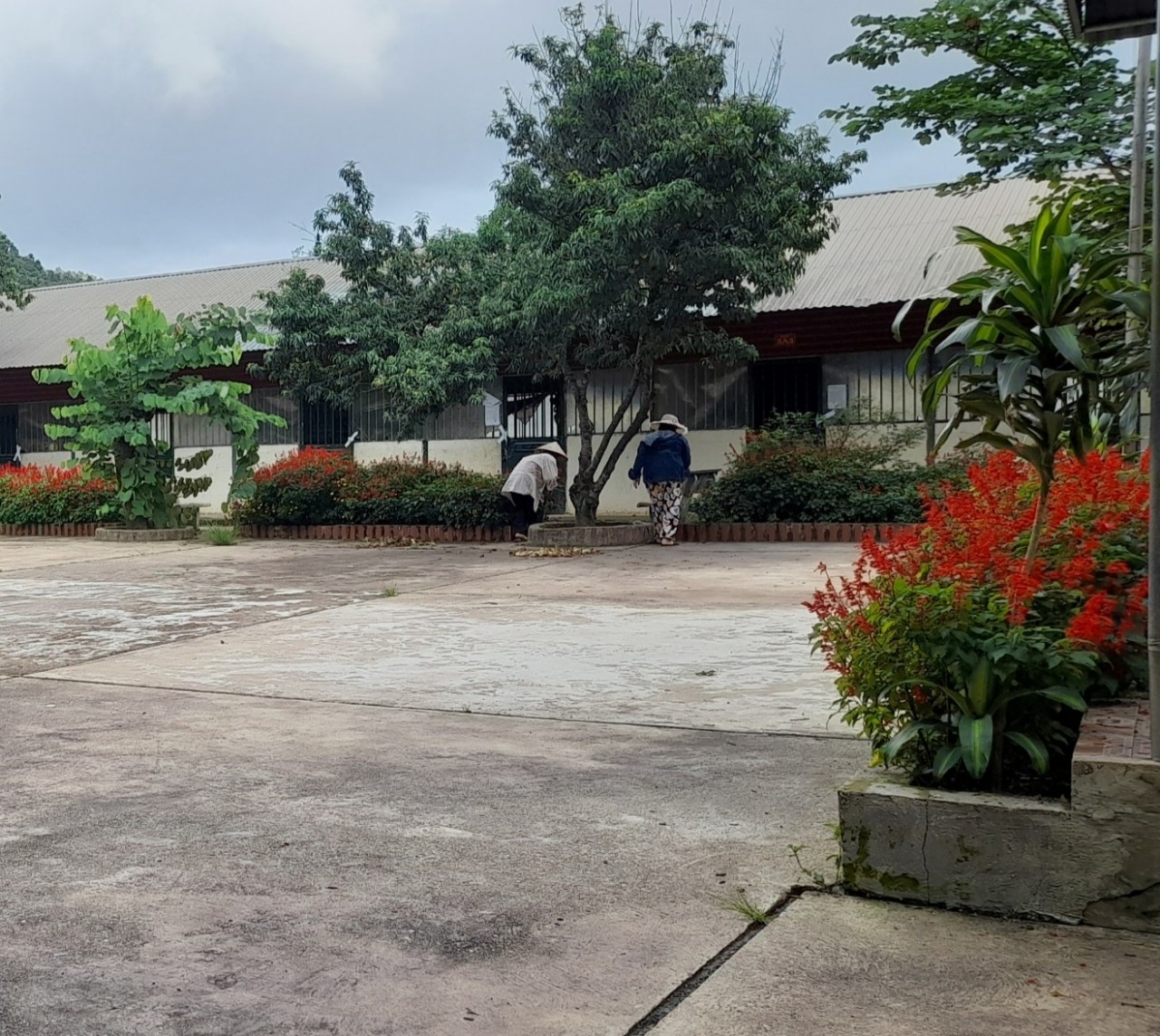CÔNG TÁC LAO ĐỘNG DỌN DẸP VỆ SINH TRONG NHỮNG NGÀY HÈ