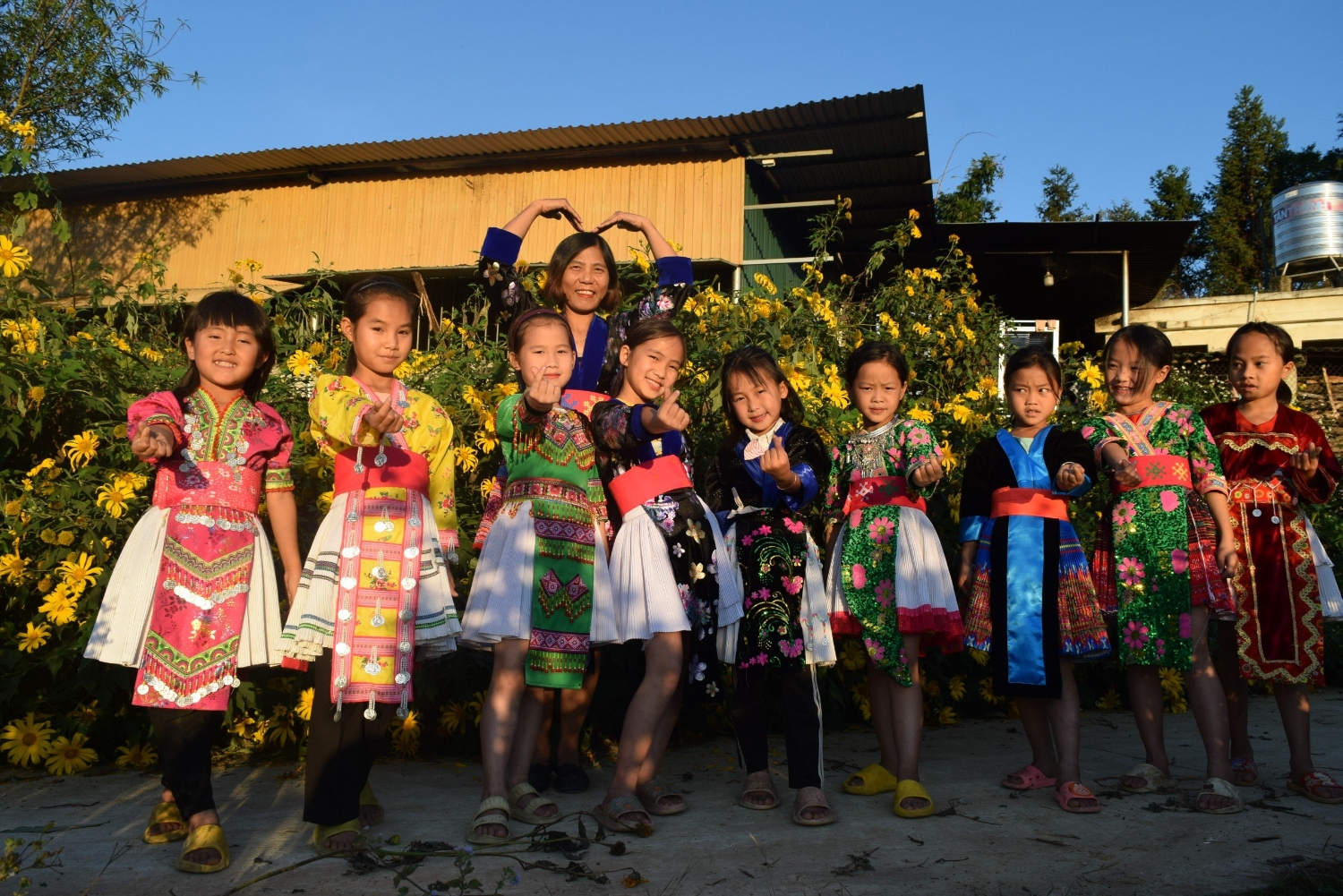 THÁNG 12 MÀU VÀNG CỦA NHỮNG BÔNG HOA DÃ QUỲ